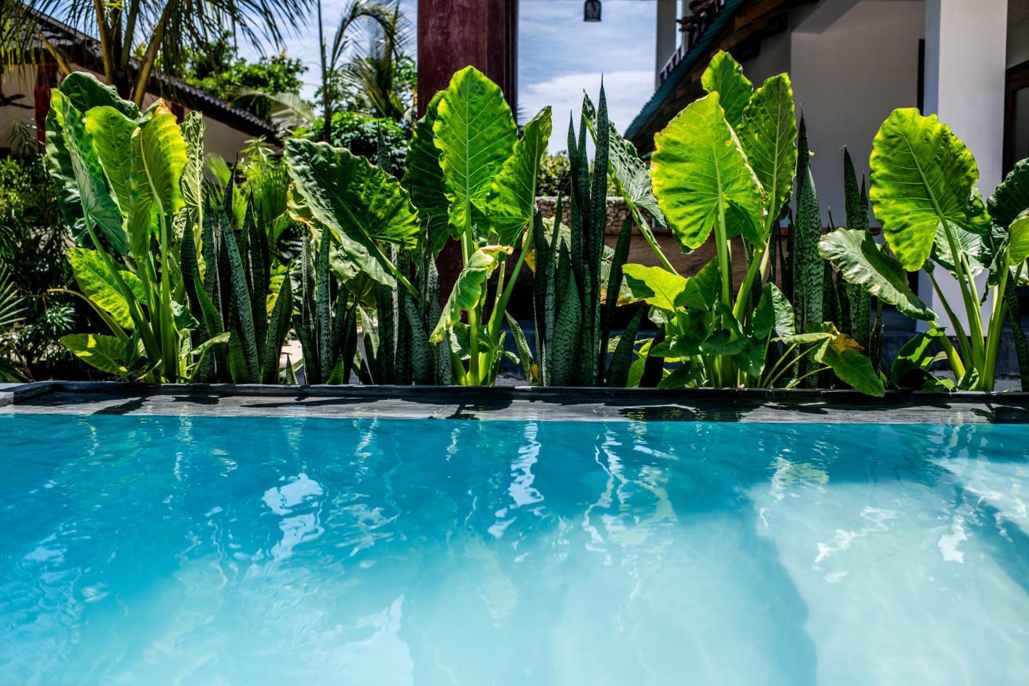 Baobab Bungalows Jambiani  Bagian luar foto