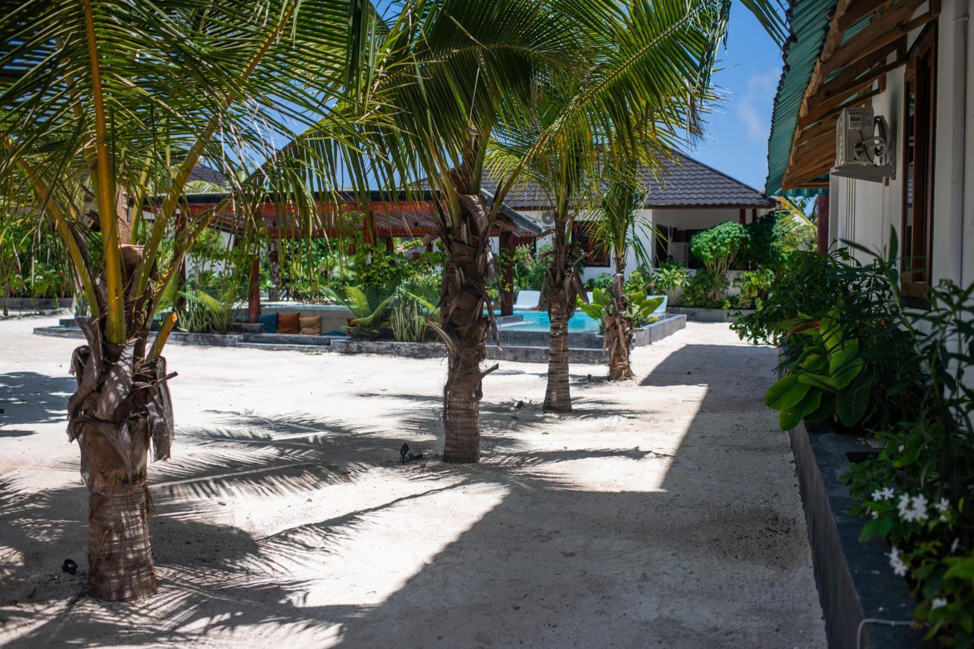 Baobab Bungalows Jambiani  Bagian luar foto