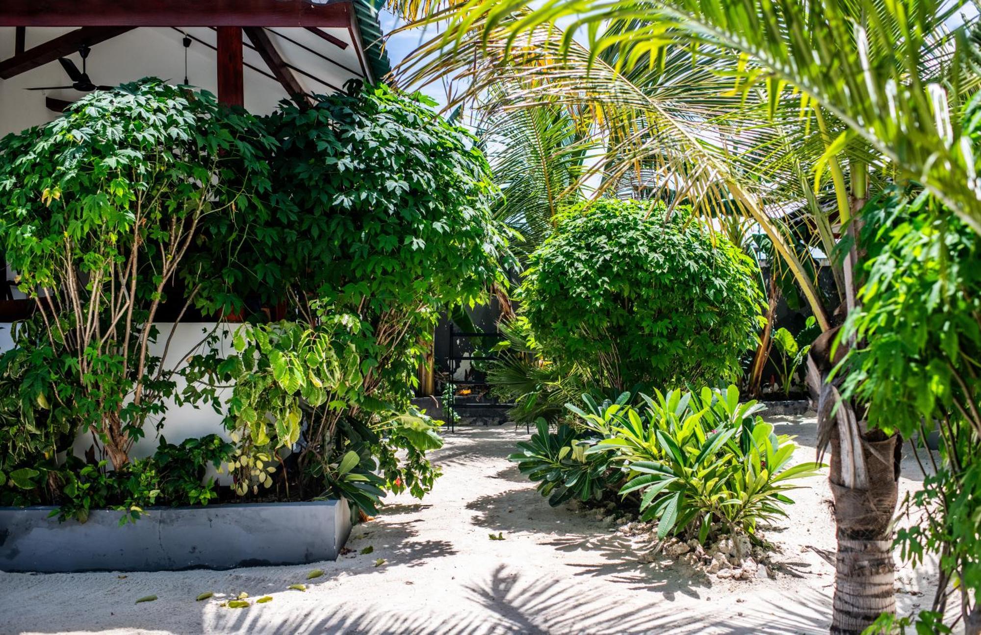 Baobab Bungalows Jambiani  Bagian luar foto
