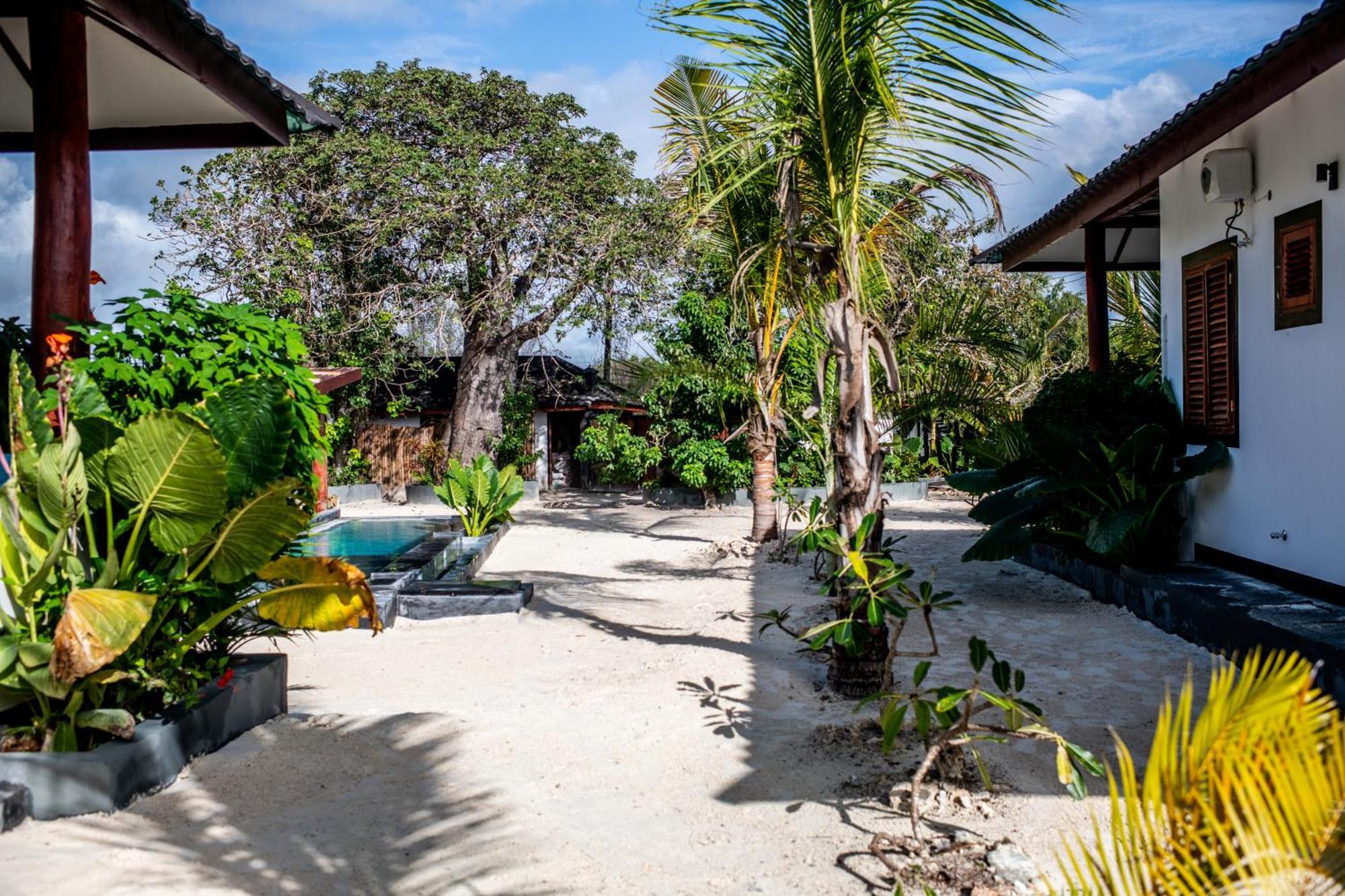 Baobab Bungalows Jambiani  Bagian luar foto