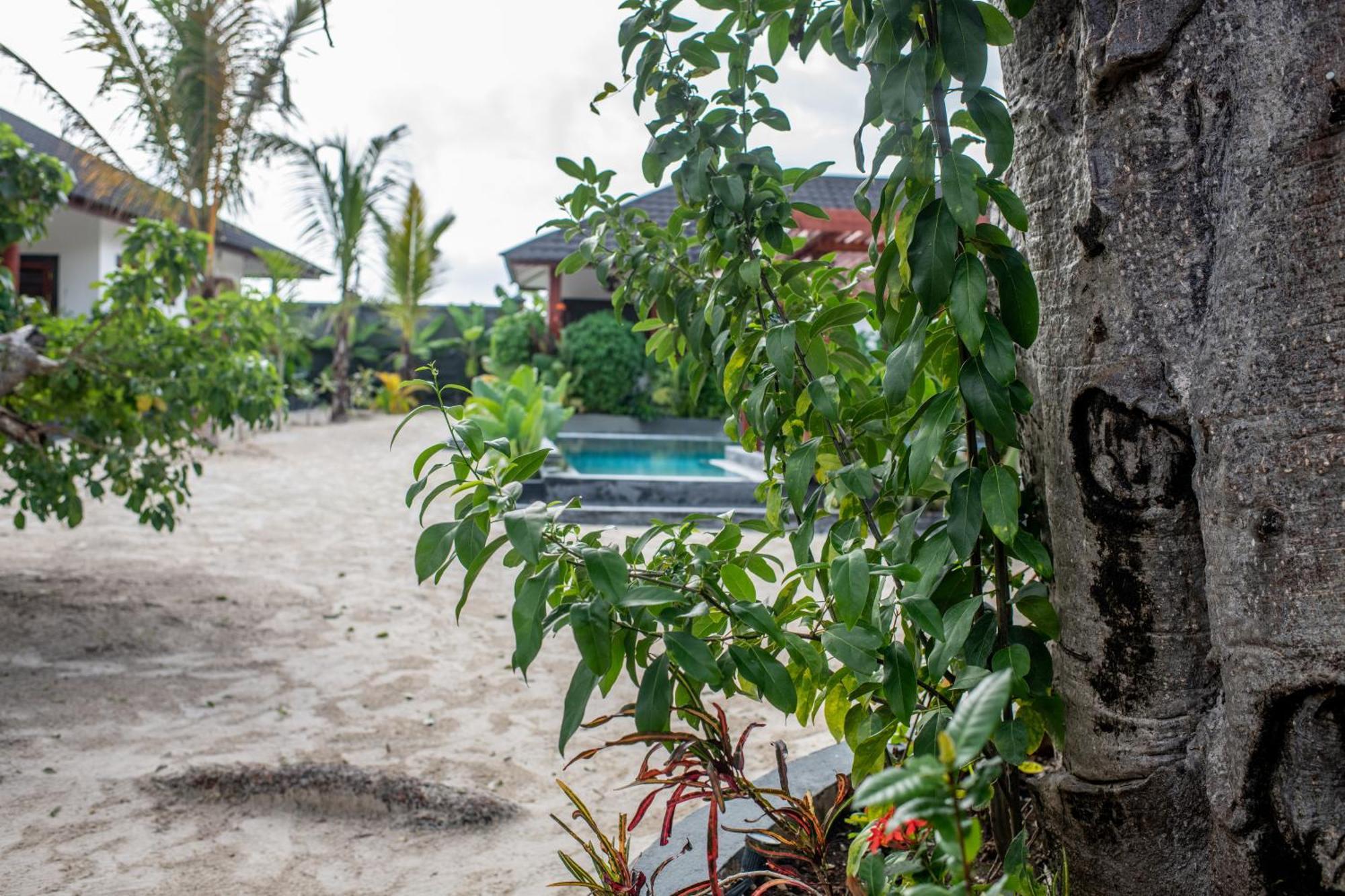 Baobab Bungalows Jambiani  Bagian luar foto
