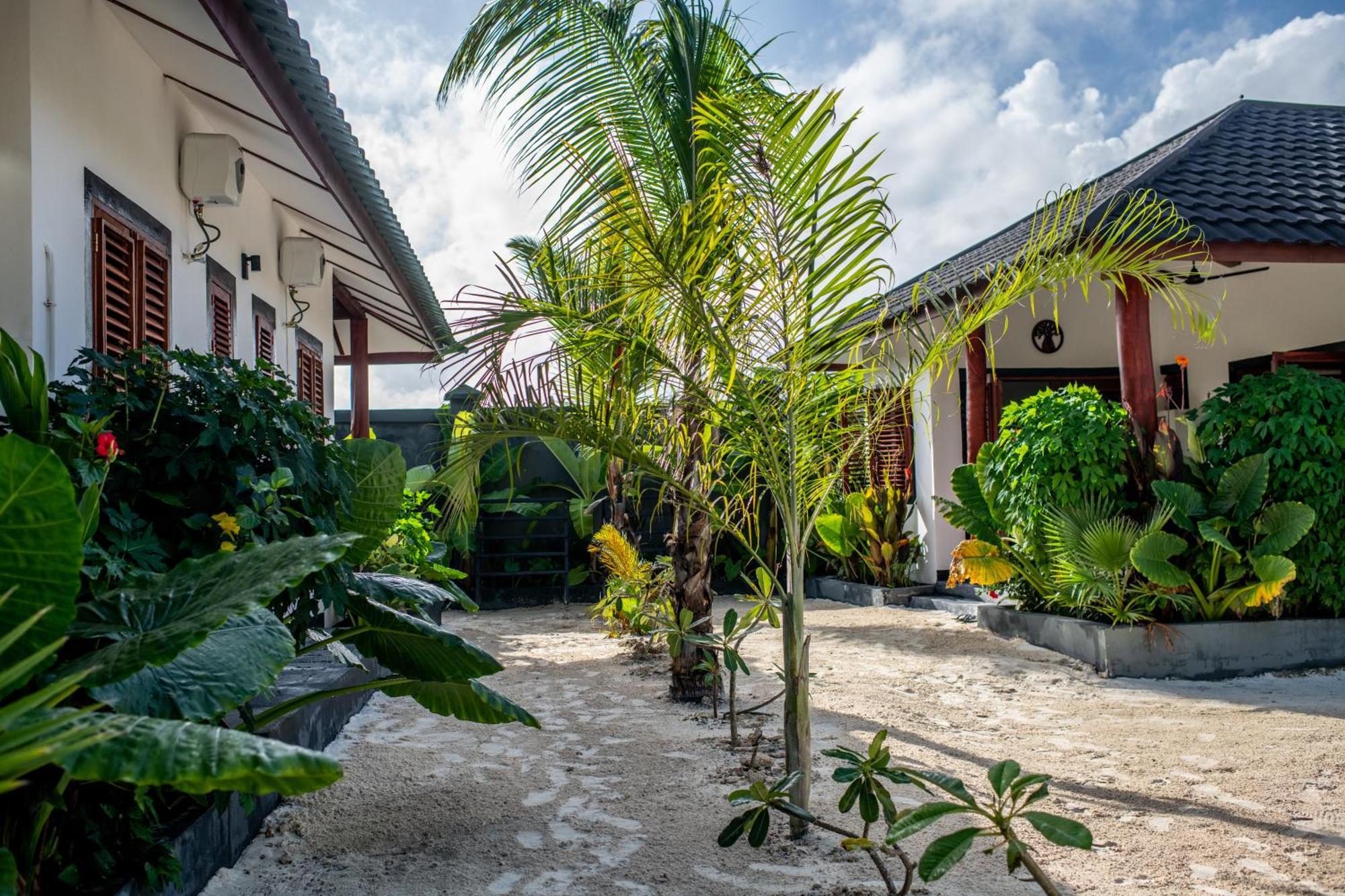 Baobab Bungalows Jambiani  Bagian luar foto