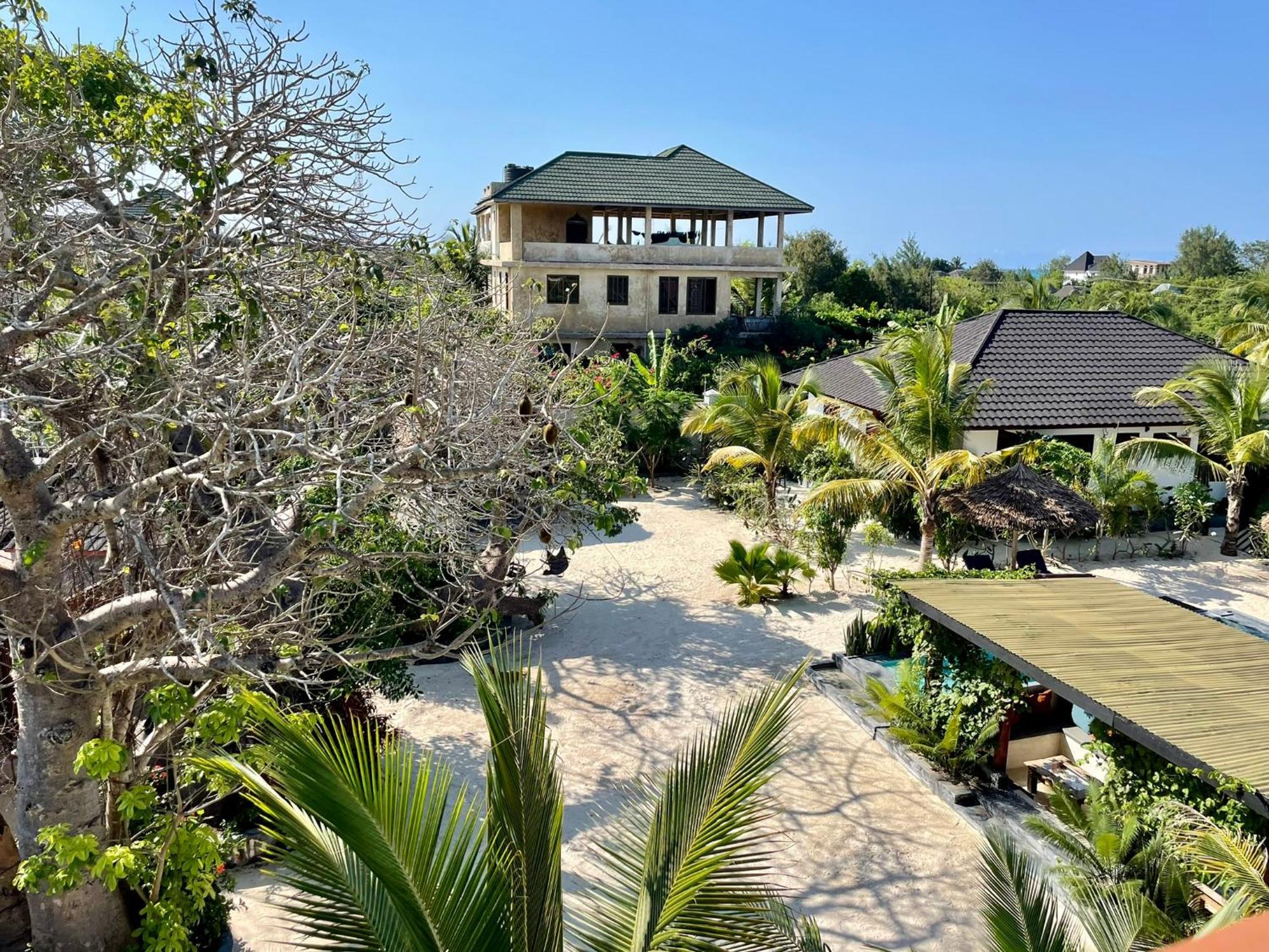 Baobab Bungalows Jambiani  Bagian luar foto