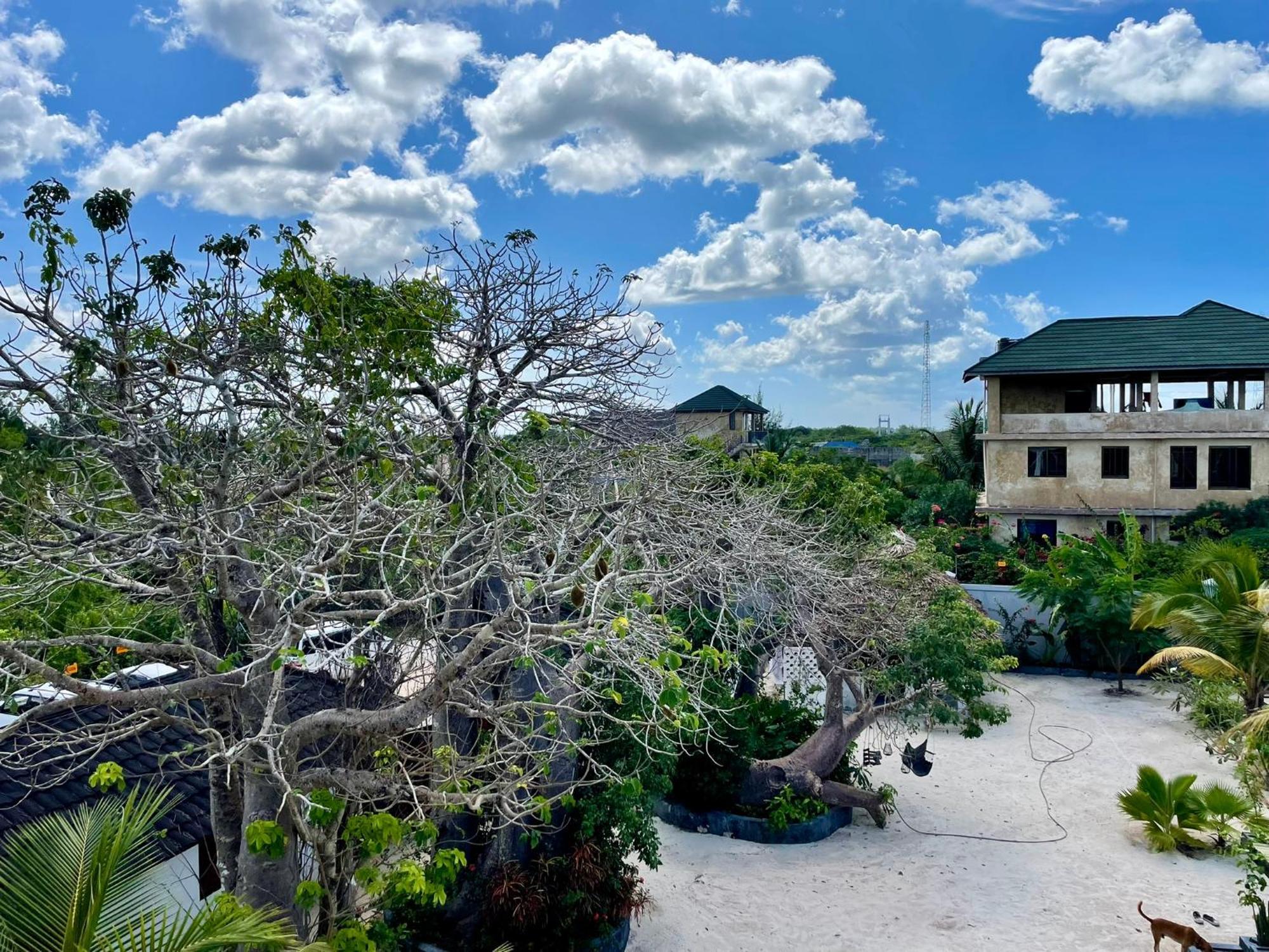 Baobab Bungalows Jambiani  Bagian luar foto